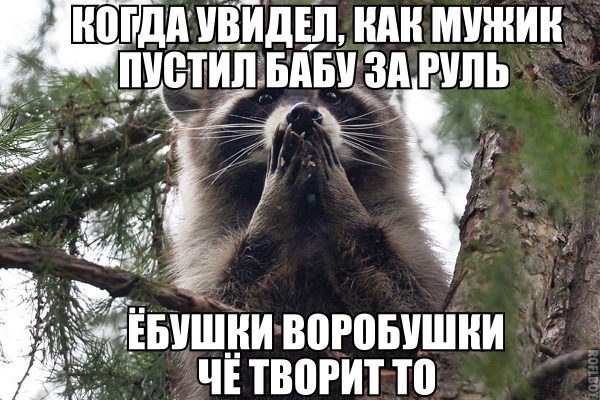  - 6  2016  12:42