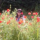 ���� ��������, ���������, 38 ��� - ��������� 11 ������� 2016