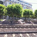 ���� Roli, ��������, 52 ���� - ��������� 14 ���� 2016 � ������ ���������