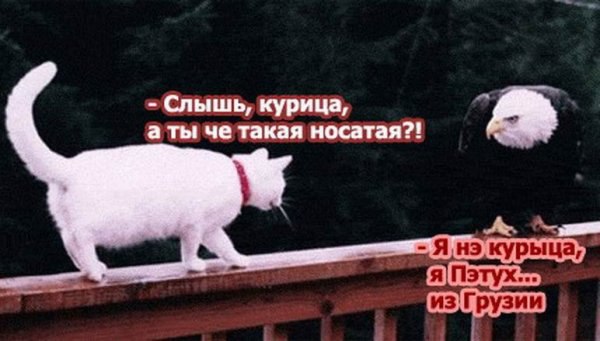   - 27  2016  20:35