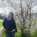 ���� �����, ���������������, 42 ���� - ��������� 8 ������ 2016 � ������ ��������