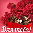 ���� �������, ������ - ��������� 25 ��� 2016 � ������ �������� ��������