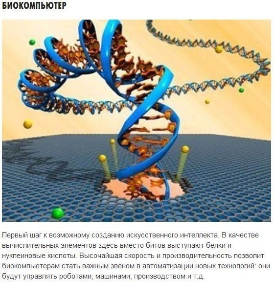 10     https://fotostrana.ru/away?to=/sl/AyE4 - 2