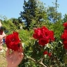 ����, ������