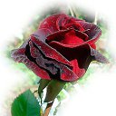 ���� Serega, �����, 47 ��� - ��������� 20 ����� 2016 � ������ ���� ����������