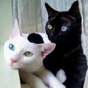 ���� �������, ������, 32 ���� - ��������� 25 ���� 2016 � ������ ���� ����������