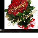 ���� Fatinyia, ����� - ��������� 1 �������� 2016 � ������ �������� ��������