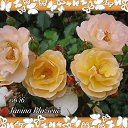 ���� Jana, ������, 68 ��� - ��������� 22 ������� 2016 � ������ ���������...�