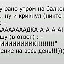 ���� �������, �������� - ��������� 31 ������� 2016 � ������ ������ ��������