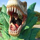 ���� �����, �����, 38 ��� - ��������� 23 ������� 2016 � ������ ���� ����������