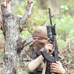 ���� �������, ������, 44 ���� - ��������� 17 ��� 2016