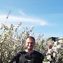 ���� �������, ���������, 43 ���� - ��������� 31 ��� 2016 � ������ ���� ����������