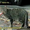 ���� ��������, ������ �������� - ��������� 24 ����� 2016 � ������ ������ ��������