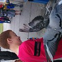 ���� ������, �������������, 61 ��� - ��������� 13 ������� 2016 � ������ ������