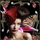 ���� ���������, ���������, 72 ���� - ��������� 2 �������� 2016 � ������ ������ ��������