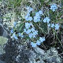 ���� �������, �����, 49 ��� - ��������� 16 ����� 2016 � ������ ���� ����������