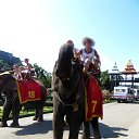 ���� ������, ������������, 69 ��� - ��������� 21 ������� 2016 � ������ ��������