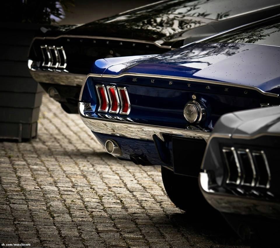 Ford Mustangs