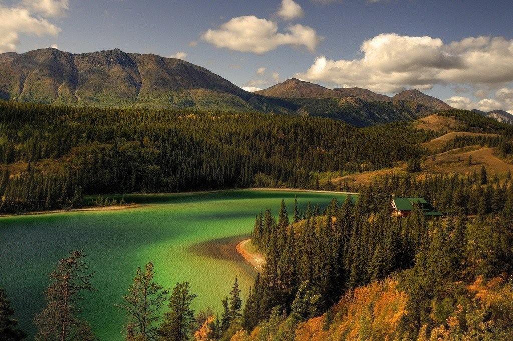 Canada forests. Озеро Эмеральд Канада. Национальный парк Банф, Канада.