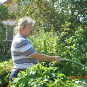 ������� ����