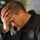 ���� ������, ����-�����������, 50 ��� - ��������� 23 ������ 2016 � ������ ������ ��������