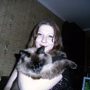 ���� �����, ����������, 41 ��� - ��������� 23 ���� 2016 � ������ ���� ����������