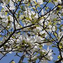  , , 60  -  5  2016     ,03.04.16.