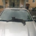 ���� Andrey, ������, 43 ���� - ��������� 17 ������ 2016 � ������ ������