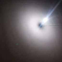 �����, ��� ������ �������, 39 ���