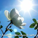 ���� �����, ���������� - ��������� 27 ������ 2016 � ������ ������ ��������