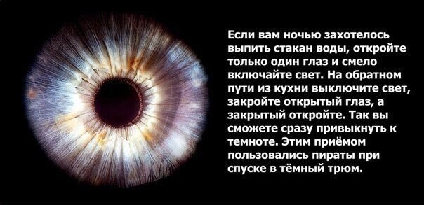 ��� ���������� - ������! - 11 ����� 2016 � 17:01