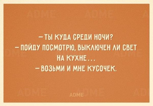 SportFeed - 1  2016  11:36