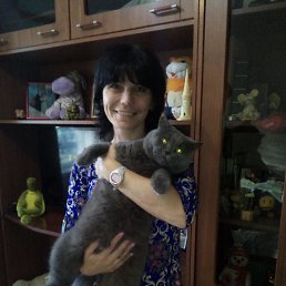 ���� ������, �������, 50 ��� - ��������� 13 ���� 2016