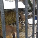 ���� ����, ������������, 35 ��� - ��������� 12 ���� 2016 � ������ �Moscow 2016 January�
