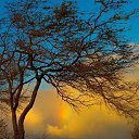 ���� ������ <���>, ����������, 37 ��� - ��������� 26 ���� 2016 � ������ ������ ��������