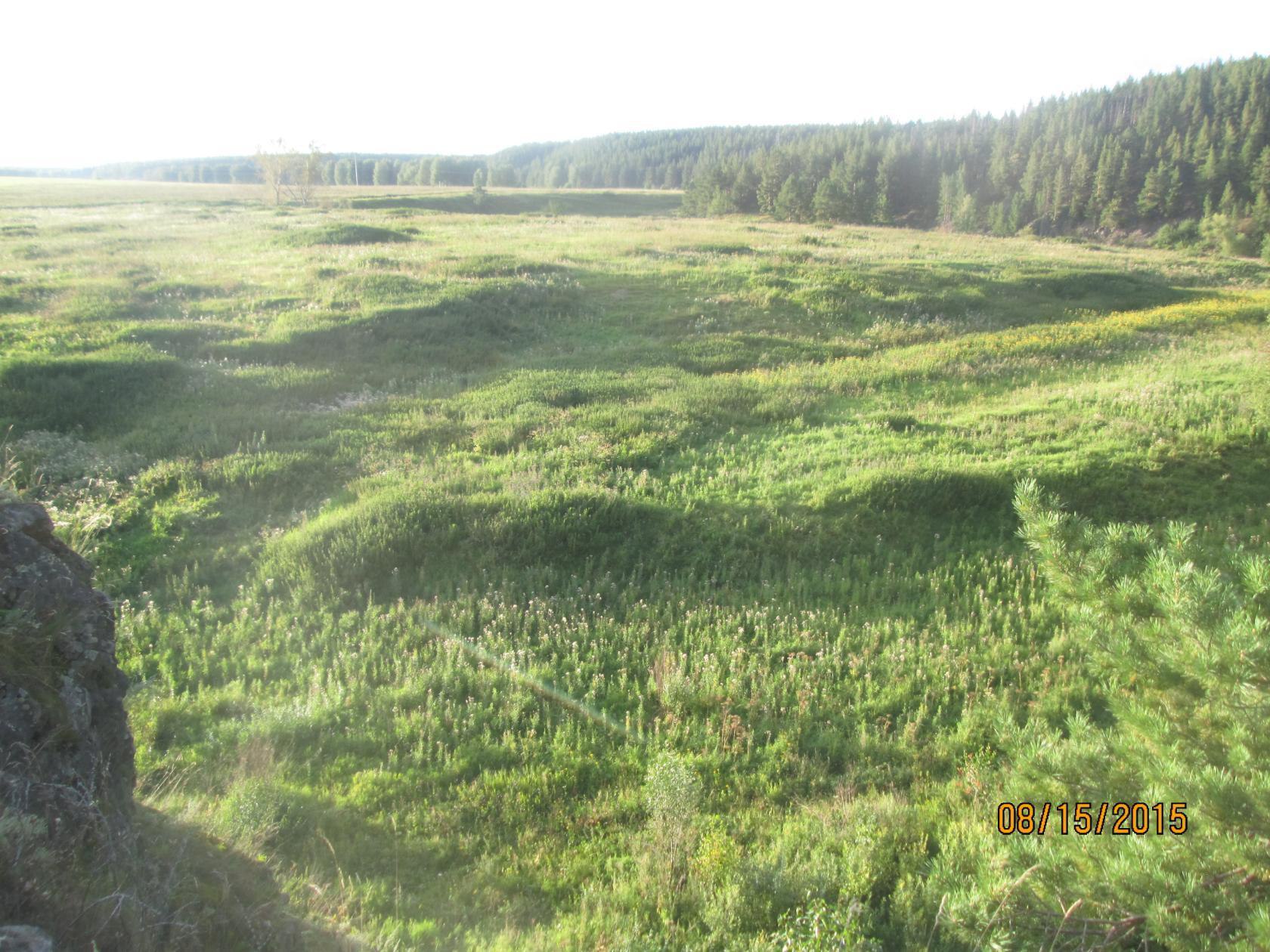   - 15  2016  17:56 - 6