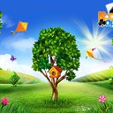  , -, 52  -  11  2016    -