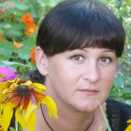 �����, ���������, 48 ���