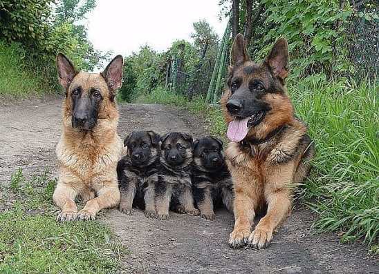 ***Victoria Viktorovna*** - 1  2016  16:09