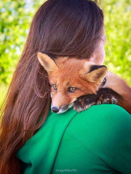 Люди, ныне хозяева, которые спасли Флинта от ужасной участи - стать чьей-то шубой. by Nica Petrova - 3
