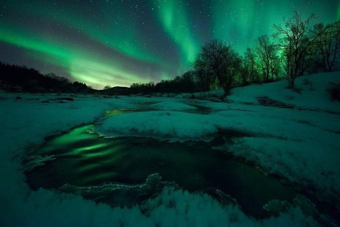    -  Arild Heitmann - 5