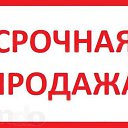 ���� ���������, ������, 36 ��� - ��������� 3 ���� 2016 � ������ ������ ��������