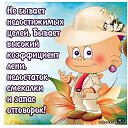 ���� ������, ����������, 81 ��� - ��������� 3 ������ 2016 � ������ ���� ����������