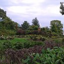 ���� �����, ������������ - ��������� 26 ������� 2016 � ������ ��� �������� ������. �����.�