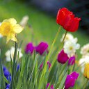 ���� ����, ��������� - ��������� 29 ����� 2016 � ������ ���� ����������