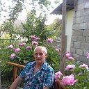 ���� ����, �������, 69 ��� - ��������� 23 ��� 2016