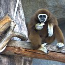 ���� ������, ������������, 69 ��� - ��������� 21 ������� 2016 � ������ ��������