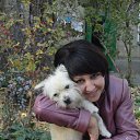 ���� ����, ��������, 51 ��� - ��������� 3 �������� 2016 � ������ ���� ����������