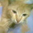 ���� �����, ��������������, 48 ��� - ��������� 26 ������ 2016 � ������ ���� ����������