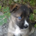 ���� ������, ������, 59 ��� - ��������� 19 ���� 2016 � ������ ���� ����������